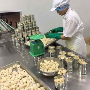 LYCHEES EN CONSERVE DE QUALITÉ D'EXPORTATION EN SIROP POUR LES MARCHÉS INTERNATIONAUX - Product Image 6