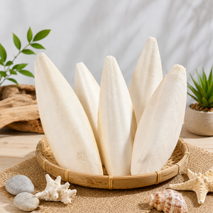 Hueso de Sepia Seco Blanco Natural para Loros y Aves |   Proveedor de Vietnam |   Venta al por mayor |   Suplemento de Calcio [Liam +84865912655] - Product Image 3
