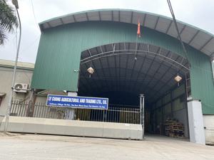 Best Quality Vietnamese Tapioca <b>Starch</b> with Best Price in Vietnam and International Market - Product Image 5