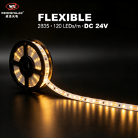 Bande LED flexible haute luminosité DC24V 120LEDs/m SMD2835, température de couleur 3000K-6000K, éclairage paysager à corps en cuivre.