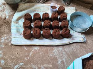 KOPEAT Coco Sport Grow, Bloques de Coco 100% Puro, Naturales, Color Marrón, Cuadrados, 5 kg, Vida Útil de 5 Años, Venta al por Mayor en Tamil Nadu - Product Image 2