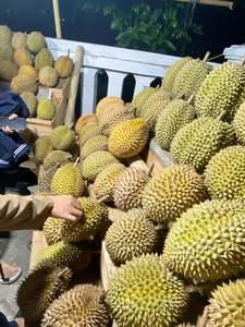 Exportación de Vietnam 100% Durian congelado orgánico natural Venta caliente Gran precio con excelente calidad - Product Image 2