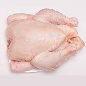 ไก่แช่แข็งขายส่ง ไก่แช่แข็งฮาลาล ราคาโรงงาน ไก่ทั้งตัว - Product Image 2