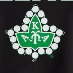 Sweat-shirt à col rond pour femme AKA Sorority Inc, design au dos en chenille noire, lettres grecques brodées, haut de gamme - Product Image 6