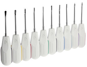 ชุดอุปกรณ์ถอนฟันแบบใช้มือ 10 ชิ้น ทำจากสแตนเลสสีเงิน ใช้ซ้ำได้ สำหรับการผ่าตัดทางทันตกรรม  PDL Luxating  สำหรับการคลายฟัน - Product Image 1