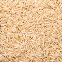 Vietnam ODM Hong Thai Sa Dec Premium 100% Reis Getrocknete Brauner Reis Vermicelli Sticknudeln Handwerkshandwerk 300g Beutelpackung