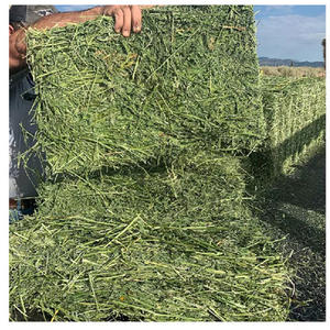 Heno de Alfalfa de Alta Calidad para Alimentación de Caballos, Cerdos, Peces y Animales, Empaquetado a Granel - Product Image 6