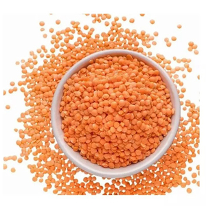Lentejas Rojas de Primera Calidad, Cuidadosamente Limpiadas y Clasificadas para Importadores Internacionales y Distribuidores Mayoristas de Alimentos - Product Image 6
