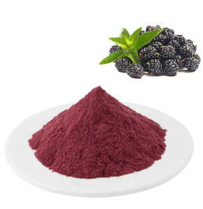สารสกัดสมุนไพรออร์แกนิก ผงแบล็คเบอร์รี่ ซูเปอร์ฟู้ดเสริมอาหาร สารต้านอนุมูลอิสระ ช่วยระบบย่อยอาหารให้แข็งแรง - Product Image 2