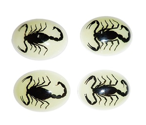 Escorpión Negro, Espécimen Real, Cabujón de Plástico Ovalado de 30x40 mm, Base Plana Brillante para Manualidades y Joyería - Product Image 5
