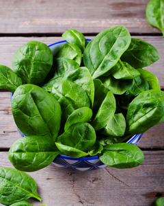 FRESH <b>BABY</b> SPINACH – VIETNAM ORIGIN, STABLE SUPPLY, EXPORT STANDARD, REFRIGERATED - Product Image 2
