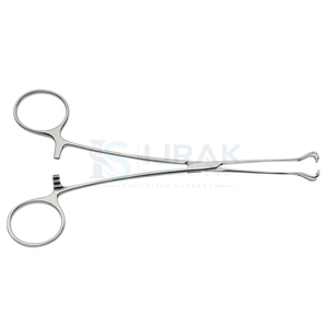 Pince à tissus Allis courbée en acier inoxydable, instrument médical manuel pour échantillons chirurgicaux - Product Image 2