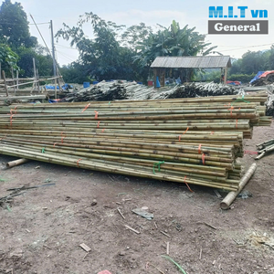 Varas de Bambú Natural de hasta 5m de Longitud, Palos de Bambú Resistentes y Duraderos para Construcción, Agricultura y Uso en Jardinería - Product Image 3