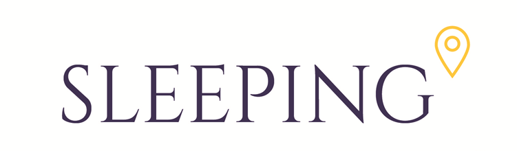 SleepingPong logo