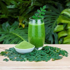 Poudre de feuilles de Moringa biologique, formule riche en antioxydants pour l'énergie et le soutien immunitaire, complément nutritionnel à base de plantes du Vietnam - Product Image 5