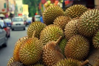 Harga terbaik DURIAN FROZEN SUPER lezat dari VIETNAM /MS.DUYEN(+ 84) 904183651