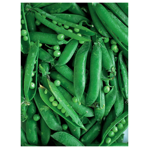 Vente en gros de petits pois verts déshydratés FD, légumes lyophilisés verts séchés - Product Image 2