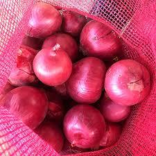<b>Red</b> Onion fresh Onion in Bulk Cheap for wholesale sale - Product Image 3