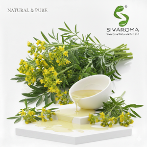 Huile essentielle de rue aromatique pour les acheteurs industriels recherchant une qualité constante et une approvisionnement fiable en gros - Product Image 1