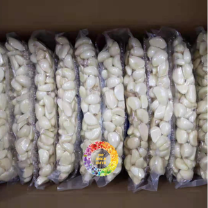 Ajo Congelado Pelado IQF 1kg, Empaque a Granel, Grado de Exportación, Origen Vietnam, 99 GOLD DATA - Product Image 1