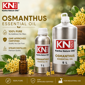 น้ำมันหอมระเหยดอกหอมหมื่นลี้บริสุทธิ์สูง 100% ออร์แกนิคแท้ ได้รับการรับรอง Osmanthus fragrans ผู้ผลิตขายส่งทั่วโลก ผู้ส่งออก - Product Image 2