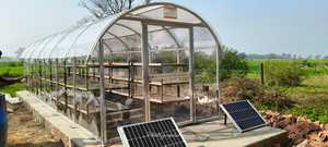 Secador Solar de Alta Eficiencia para Invernadero, Modelo C500, Forma de Túnel, Convección Forzada, Cubierta de Policarbonato Estabilizado contra Rayos UV, Estructura de Acero Inoxidable - Product Image 2