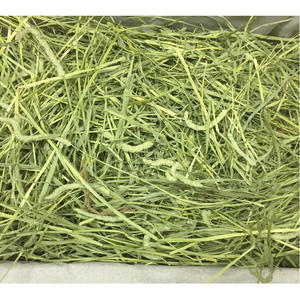 Pienso de Heno Timothy en Pellets para Ganado, Caballos, Cerdos y Peces - Alta Calidad 500g - Product Image 1