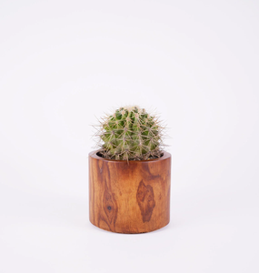 Macetas colgantes cuadradas de madera decorativas para el hogar, para plantas verdes de interior, macetero de diseño moderno - Product Image 3