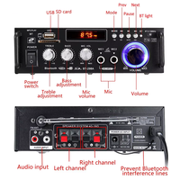 Kompakt Hi-Fi Stereo Çift Kanallı 300W+300W Çıkış Gücü Amplifikatörü 12V/220V Ev Ses Sistemleri Desteği Alüminyum Alaşım