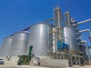 Grand Silo de Stockage d'Aliments et de Céréales pour Animaux en Acier Galvanisé, Assemblé par Boulons, Capacité 5-15000 Tonnes, Fabricant SolisFer - Product Image 2