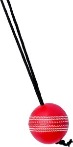 Willow Cricket Hanging <b>Ball</b> for <b>Bat</b> Knocking and Practice, 1 Hard <b>Ball</b> BY NAQQASH SPORTS - Product Image 3