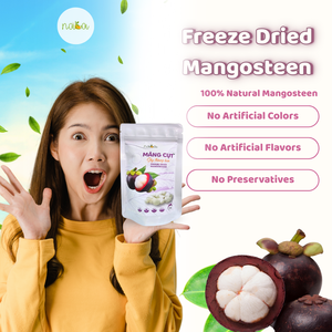 มังคุดอบแห้งแบบธรรมชาติและหวานมีคุณค่าทางโภชนาการน้ำหนักเบาในบรรจุภัณฑ์จำนวนมาก - Product Image 3