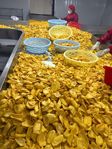 Wholesale Dried Jackfruit for Food Service and Snack Brands - Product Image 2