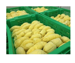 Durian Monthong surgelé de haute qualité, prix de gros compétitif pour l'exportation, approvisionnement fiable en durian surgelé du Vietnam - Product Image 5