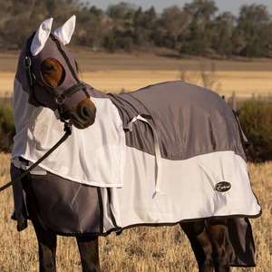 Couverture pour cheval imperméable en polaire légère de haute qualité avec rembourrage et doublure en coton, couverture d'équitation chaude pour l'hiver en solde - Product Image 1