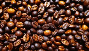 Granos de Café Robusta 2026, Totalmente Lavados, Mezclados y Tostados, de Primera Calidad, en Bolsa de Yute, Cantidad Substancial, Entrega Rápida - Product Image 4