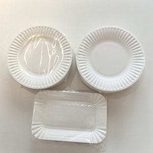 Premium <b>Disposable</b> Areca Palm <b>Plates</b> with Smooth Natural Finish for Family Gatherings Corporate Events and Hospitality Use - Product Image 2