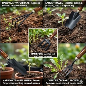 Juego de Herramientas de Jardín de Madera de Acacia de 6 Piezas al por Mayor |   Cabezas de Acero al Carbono - Product Image 1