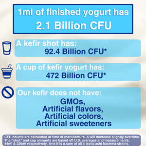 Yogourt fermenté de culture de démarrage de kéfir original japonais avec des avantages prouvés pour la santé - Product Image 3