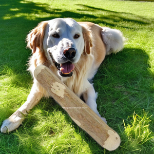 ไม้กาแฟสำหรับสุนัขเคี้ยวของเล่นสำหรับสุนัขทำจากไม้กาแฟ - Product Image 3