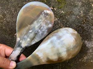 Cuillères durables en corne de buffle pour le café, le thé, les fêtes, ustensiles de service, ensemble de cuillères, meilleur prix en Inde - Product Image 3