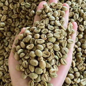 Vente en gros de grains de café vert Arabica biologique TNFOOD, taille 16, Vietnam, haute qualité, certifié ISO 22000, grade 1, certification USDA - Product Image 1