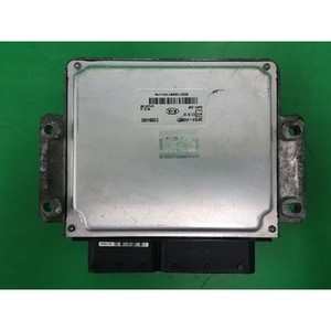 ECUs y Módulos de Computación Usados de Carnival 391044X950 - Product Image 2