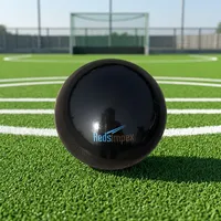 Ballon de hockey personnalisé sans fossettes en PVC durable – Ballon d'entraînement et de pratique à surface lisse pour joueurs