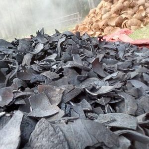Charbon de Coque de Noix de Coco Fourni par l'Usine pour la Production de Charbon Actif - Haute Densité, Faible Humidité, Taille Uniforme, Qualité Export - Product Image 5