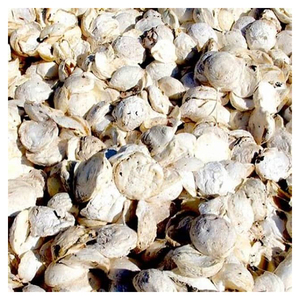 Suministro a Granel de Trozos de Caucho Natural de Alta Calidad para Fabricantes y Procesadores de Caucho Globales - Product Image 2