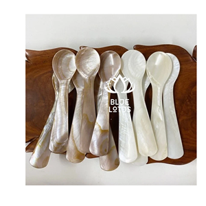 Cuchara de Nácar Ecológica y Segura POPULAR PICK 2026, Utensilio de Concha Pura Ideal para Degustación de Postres y Servicio de Caviar, Oferta al por Mayor - Product Image 1