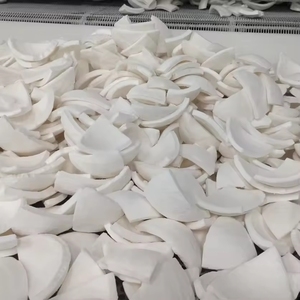 Viande de noix de coco congelée de qualité supérieure, issue de jeunes noix de coco fraîches, en forme de cube entier, de moitié ou en morceaux - Product Image 5