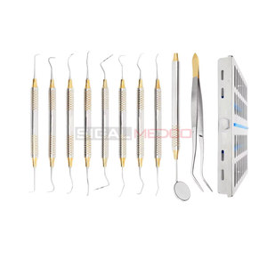 Kit d'instruments pour hygiénistes dentaires, 10 pièces, manuel, acier inoxydable allemand, cassette de stérilisation, chirurgie générale professionnelle - Product Image 2
