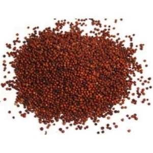 Grano de Sorgo Rojo Natural, Mijo Seco de Alta Nutrición para Alimentación Animal y Consumo Humano, Grado Premium para Alimentación - Product Image 2